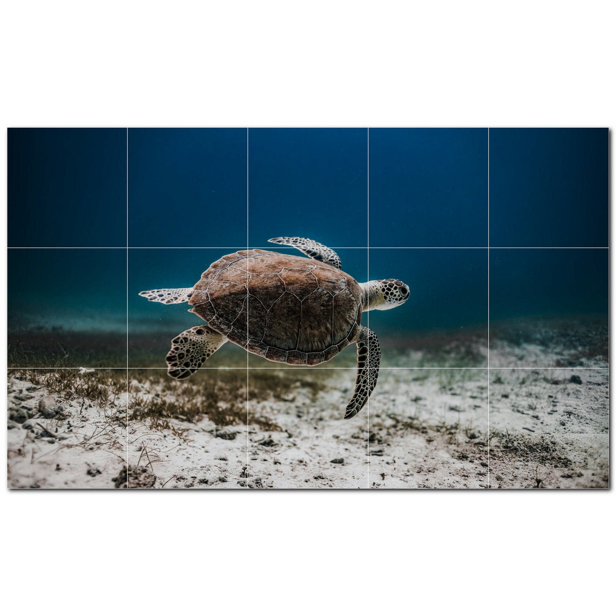 turtle ceramic tile wall mural kitchen backsplash bathroom shower p501059