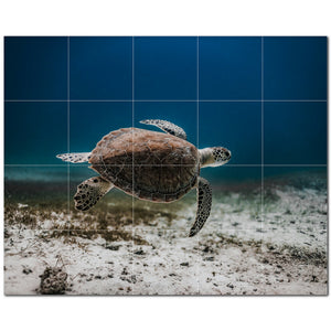 turtle ceramic tile wall mural kitchen backsplash bathroom shower p501059