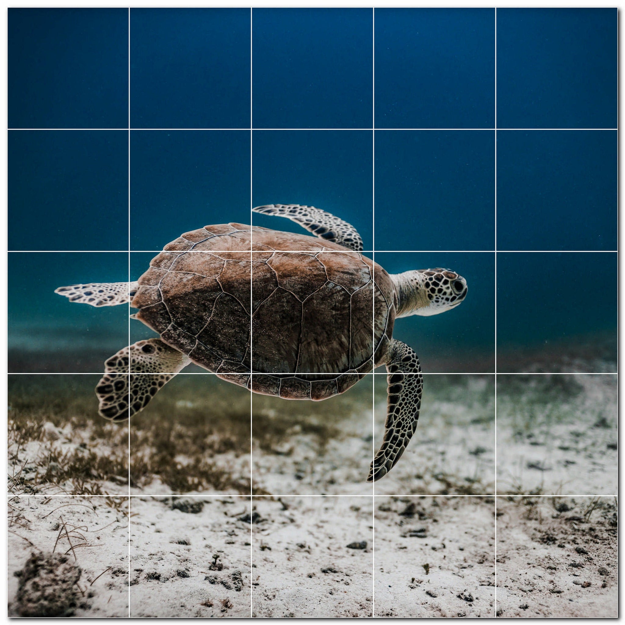 turtle ceramic tile wall mural kitchen backsplash bathroom shower p501059