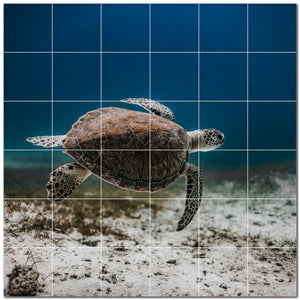 turtle ceramic tile wall mural kitchen backsplash bathroom shower p501059