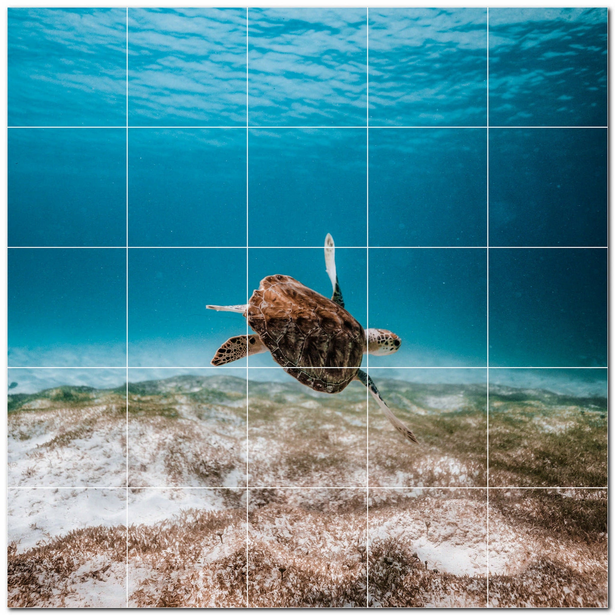 turtle ceramic tile wall mural kitchen backsplash bathroom shower p501060