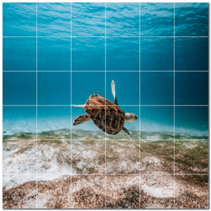 turtle ceramic tile wall mural kitchen backsplash bathroom shower p501060