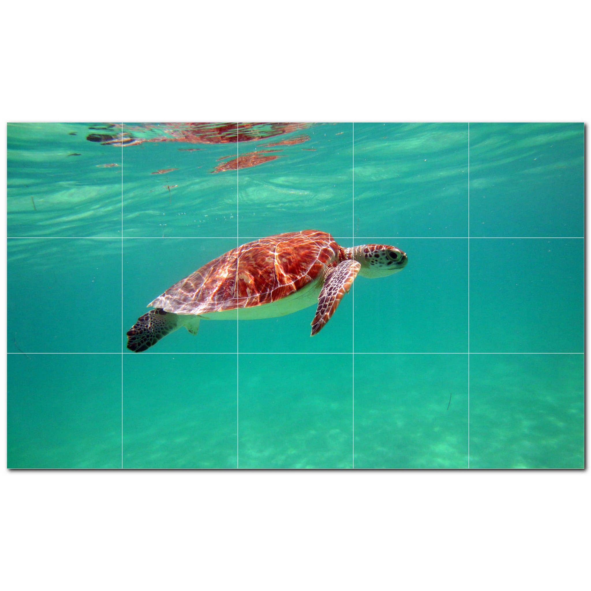 turtle ceramic tile wall mural kitchen backsplash bathroom shower p501061