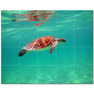 turtle ceramic tile wall mural kitchen backsplash bathroom shower p501061