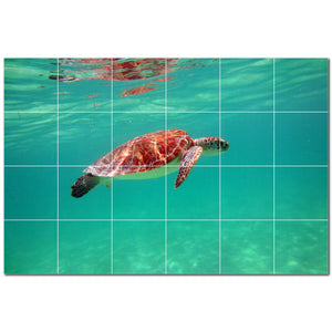 turtle ceramic tile wall mural kitchen backsplash bathroom shower p501061