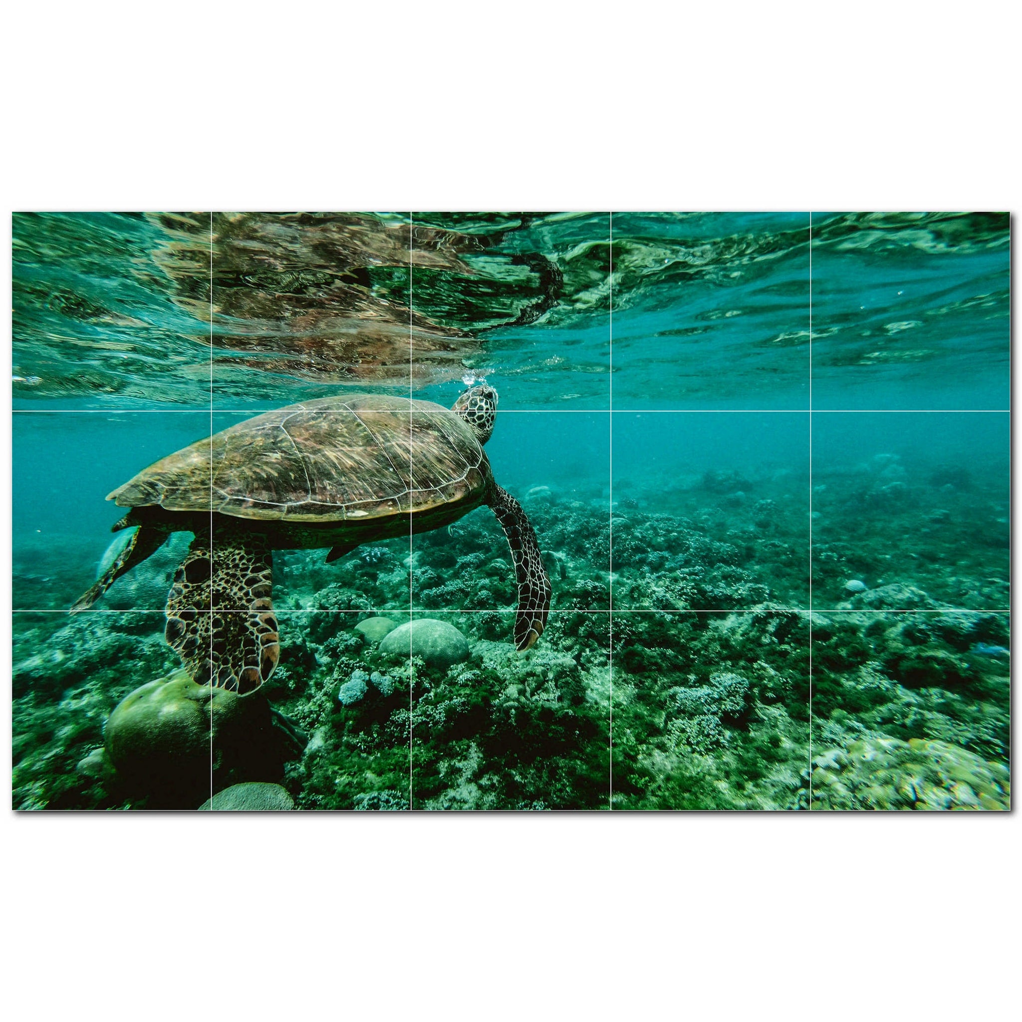 turtle ceramic tile wall mural kitchen backsplash bathroom shower p501062