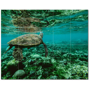 turtle ceramic tile wall mural kitchen backsplash bathroom shower p501062