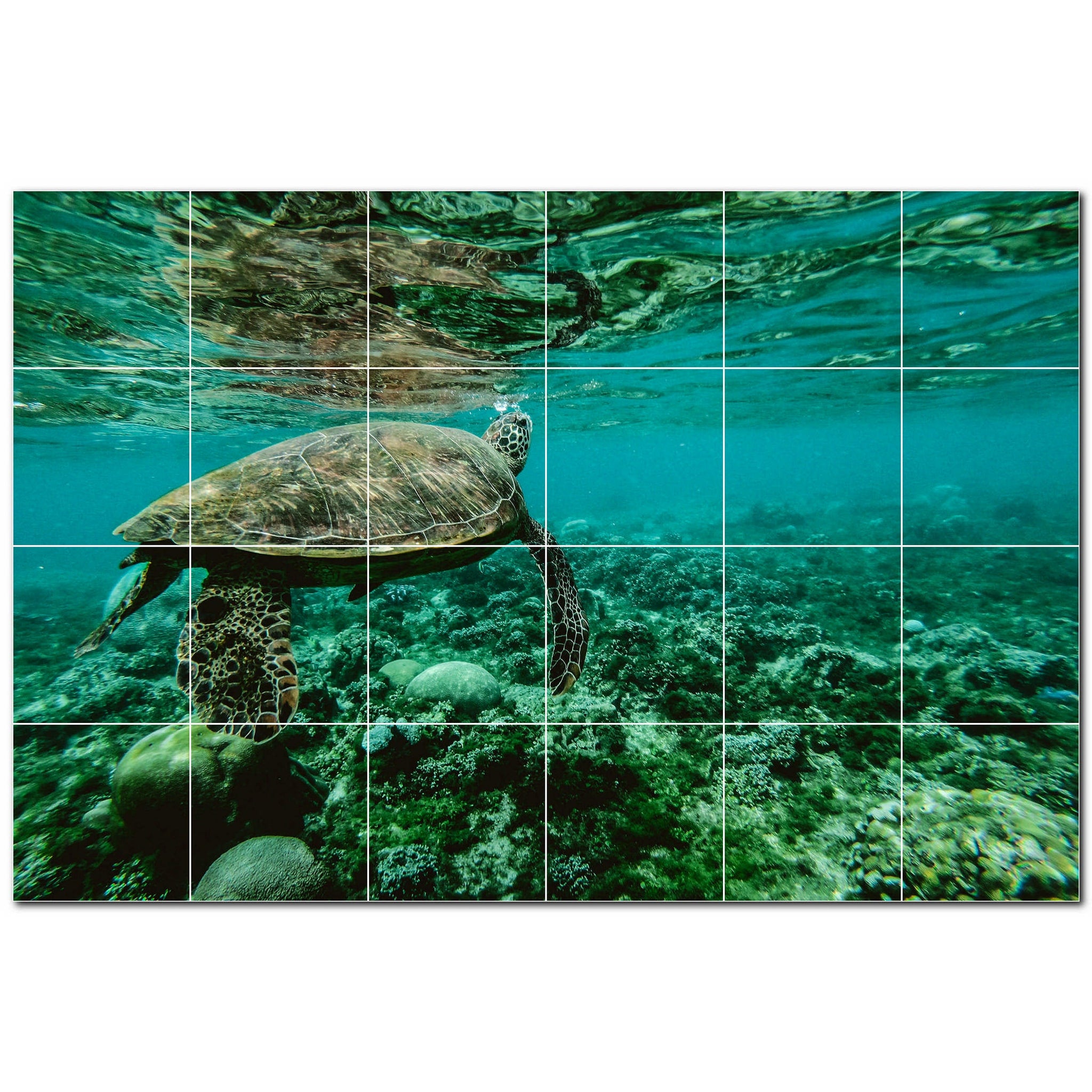 turtle ceramic tile wall mural kitchen backsplash bathroom shower p501062