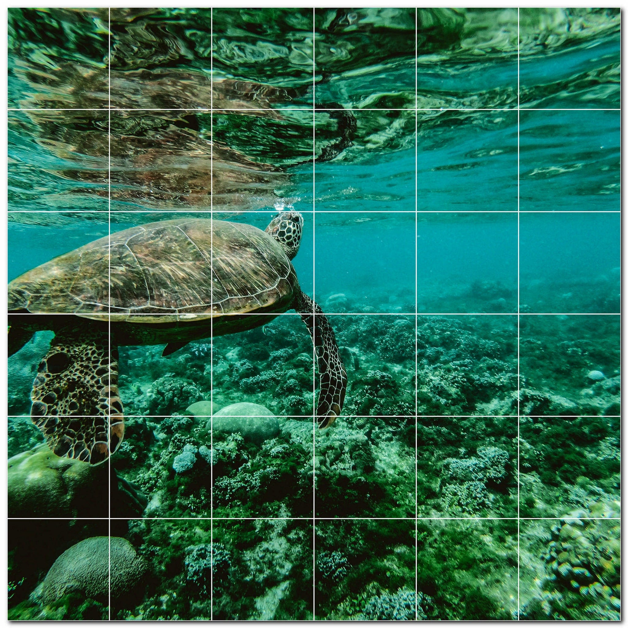 turtle ceramic tile wall mural kitchen backsplash bathroom shower p501062