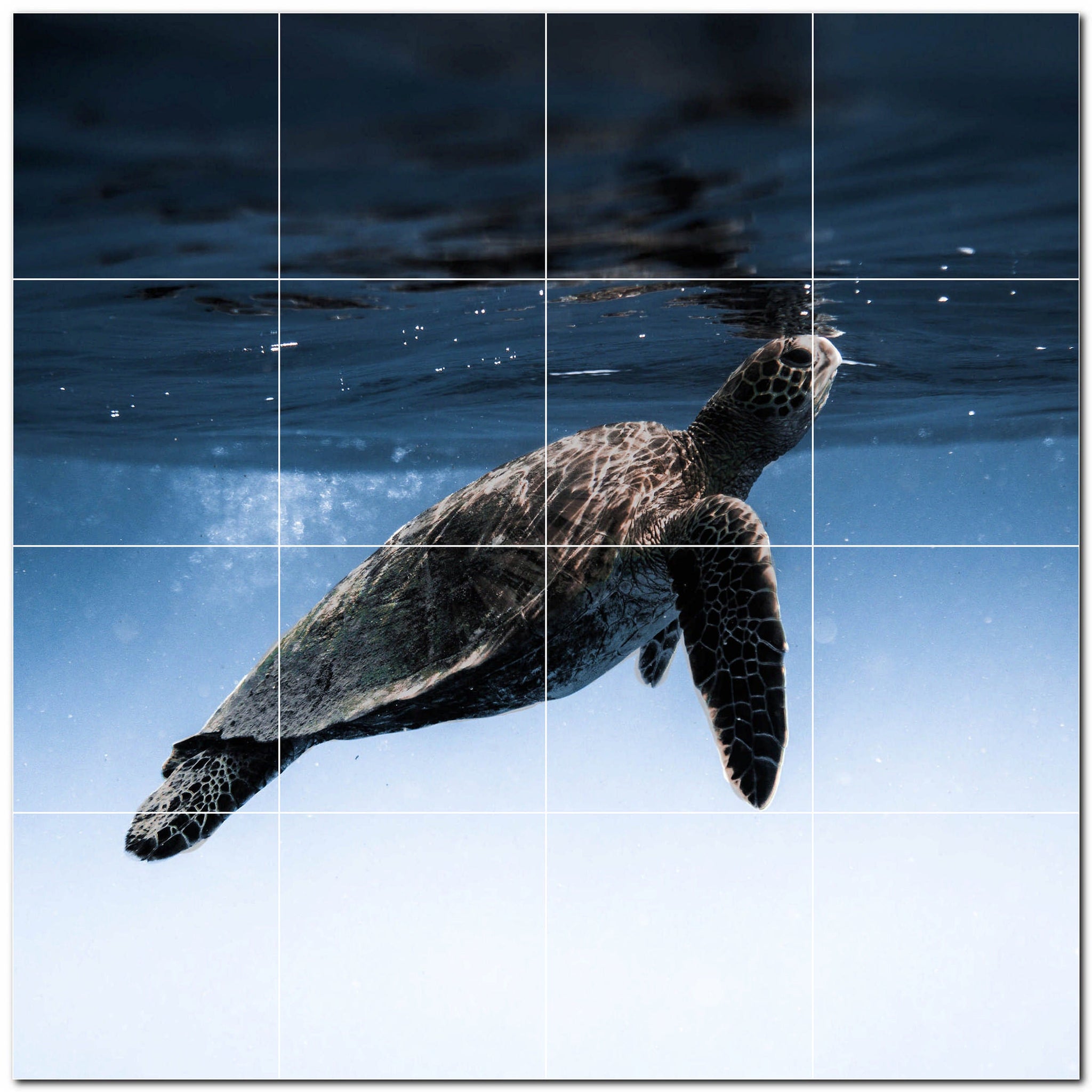 turtle ceramic tile wall mural kitchen backsplash bathroom shower p501063