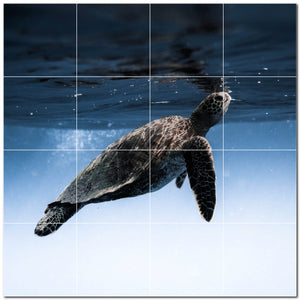 turtle ceramic tile wall mural kitchen backsplash bathroom shower p501063