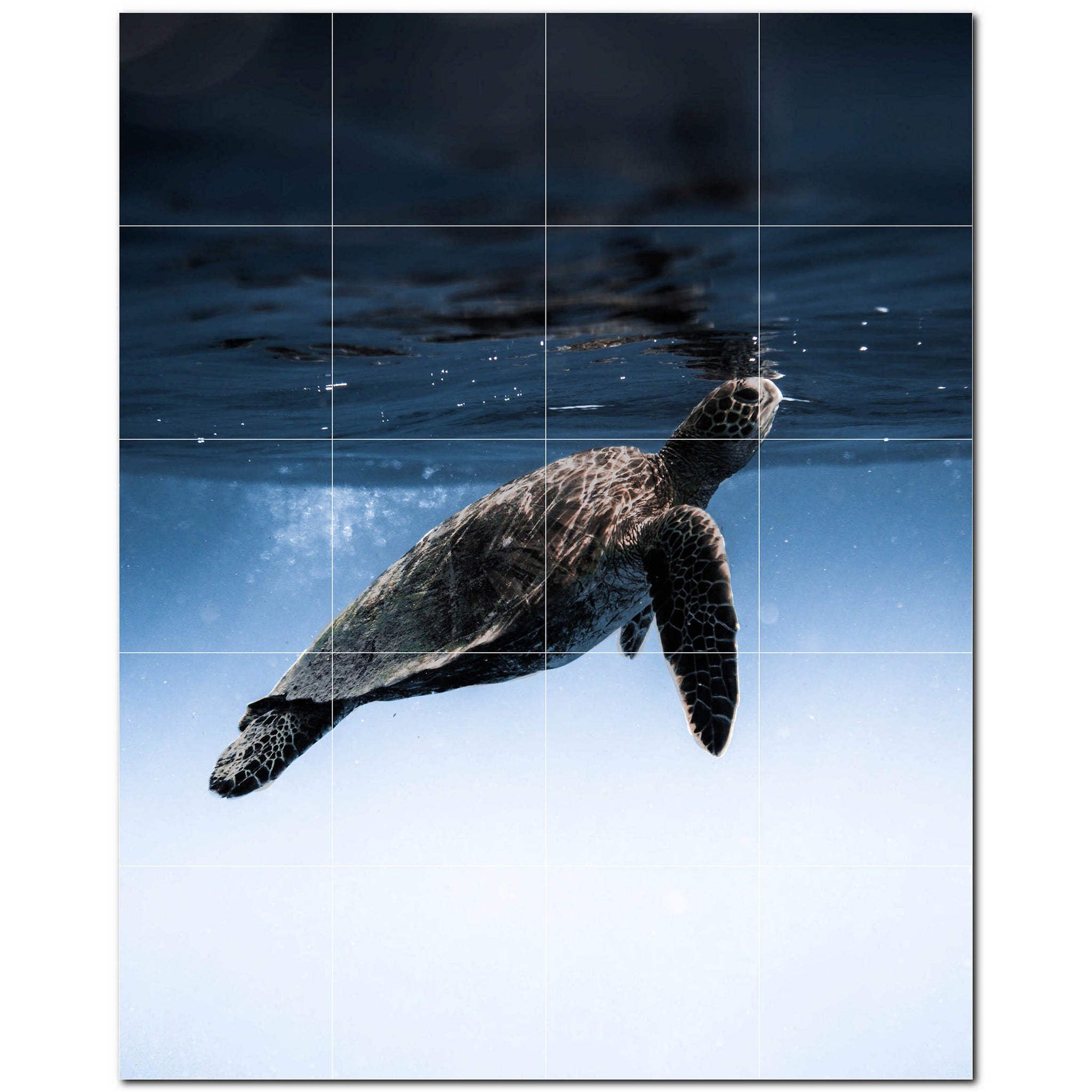 turtle ceramic tile wall mural kitchen backsplash bathroom shower p501063