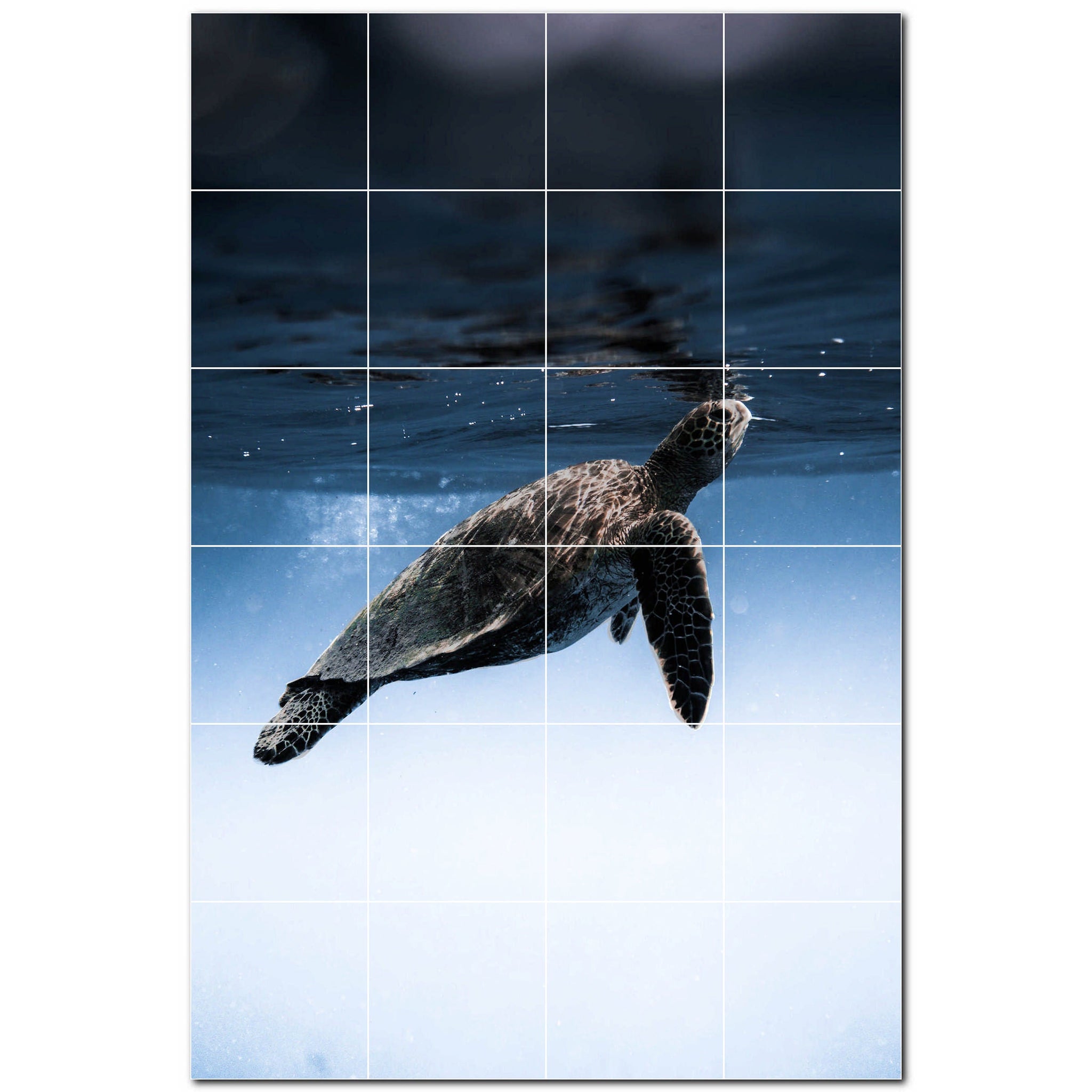 turtle ceramic tile wall mural kitchen backsplash bathroom shower p501063