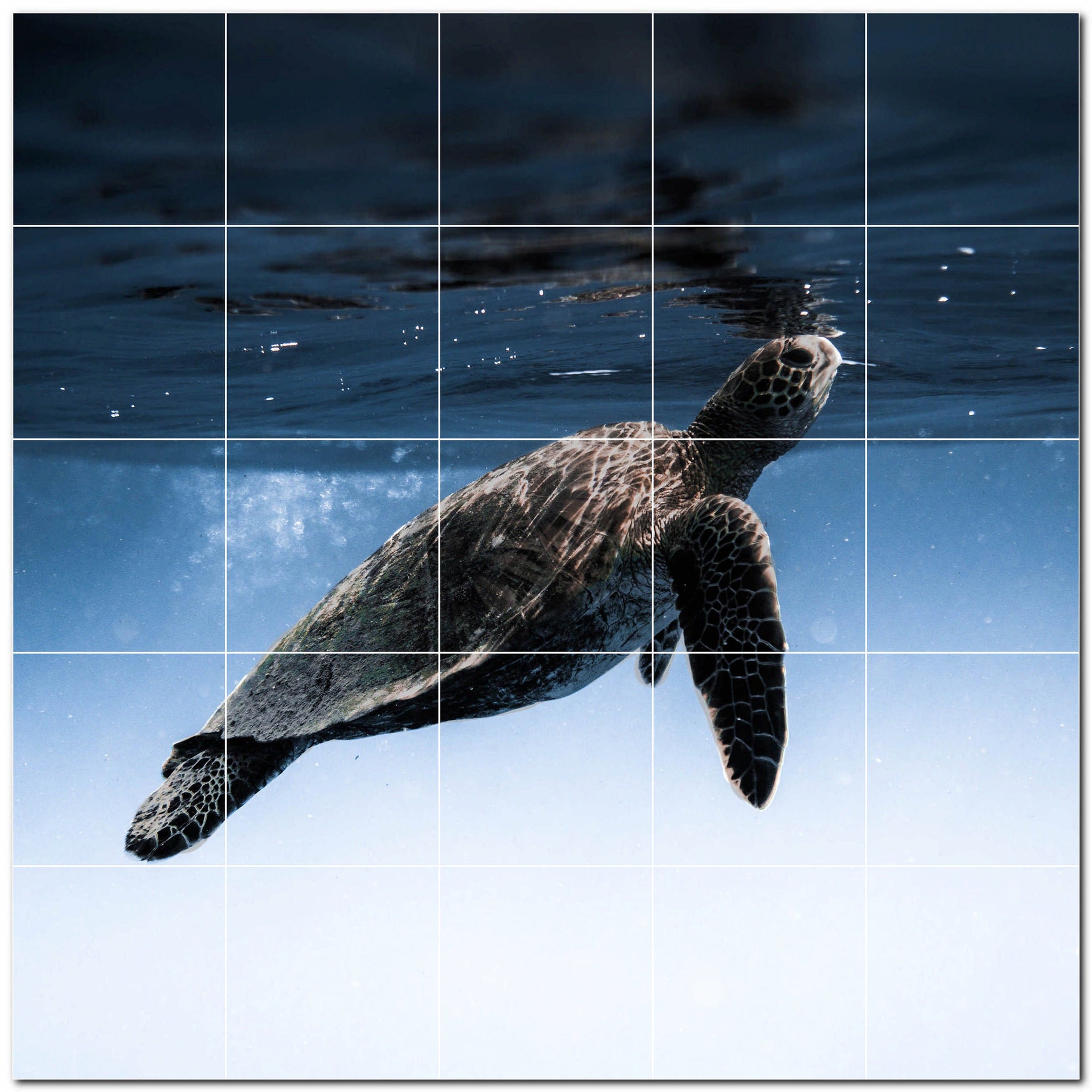 turtle ceramic tile wall mural kitchen backsplash bathroom shower p501063