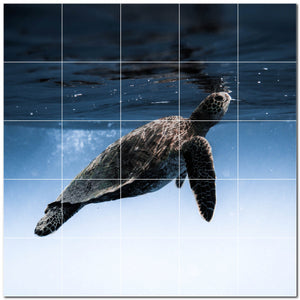 turtle ceramic tile wall mural kitchen backsplash bathroom shower p501063