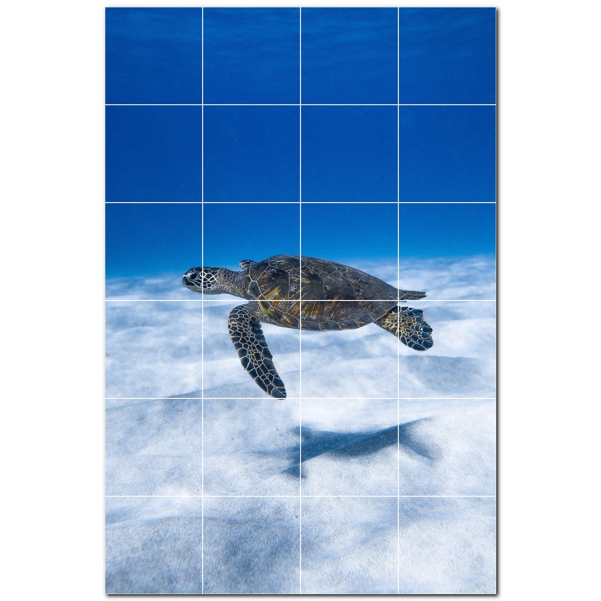 turtle ceramic tile wall mural kitchen backsplash bathroom shower p501064