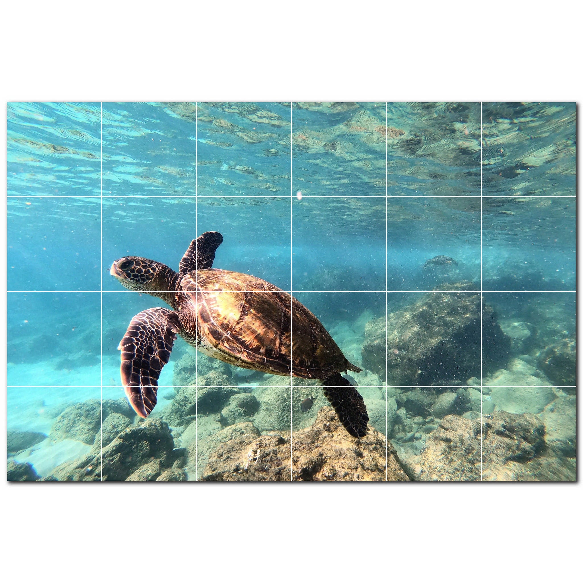 turtle ceramic tile wall mural kitchen backsplash bathroom shower p501066