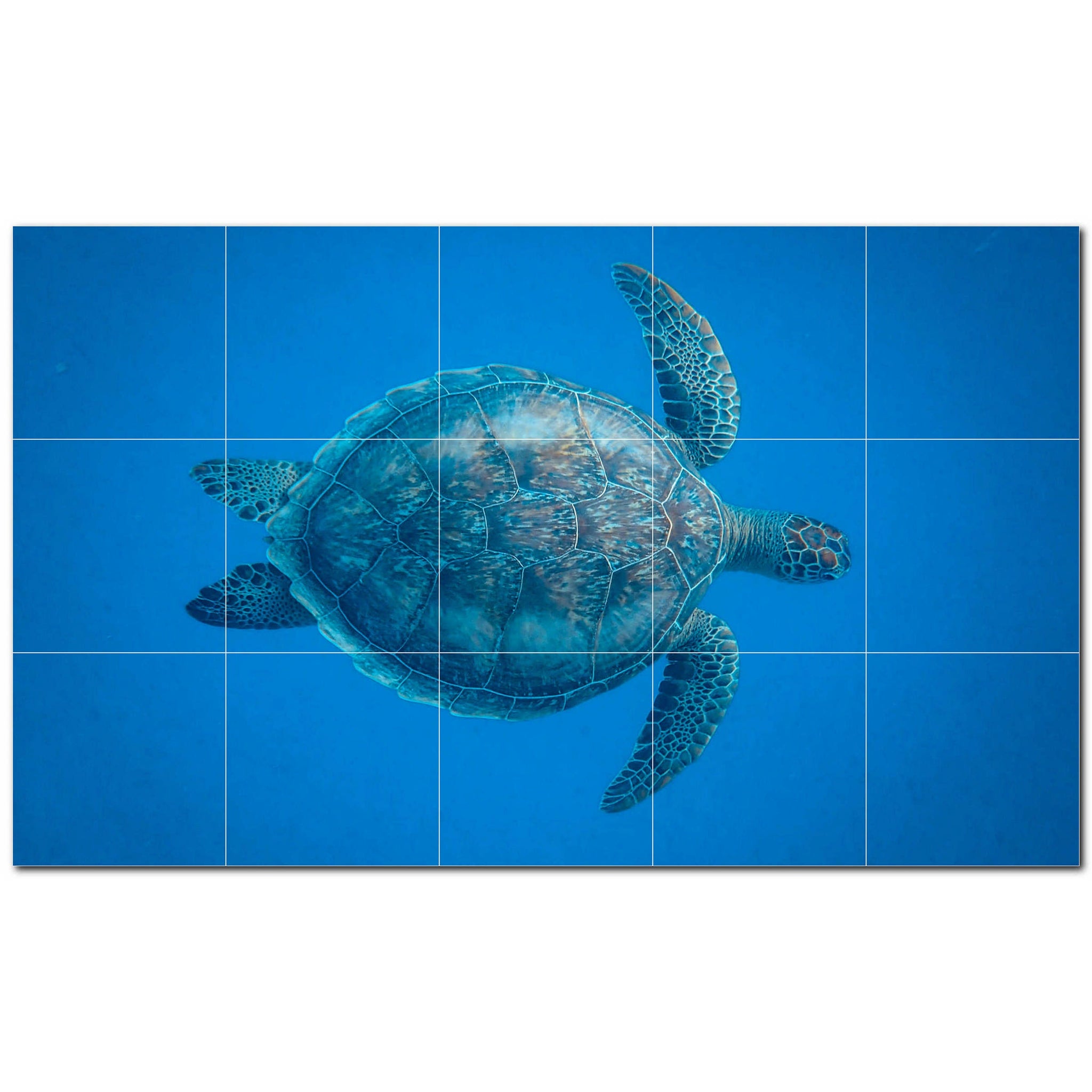 turtle ceramic tile wall mural kitchen backsplash bathroom shower p501067