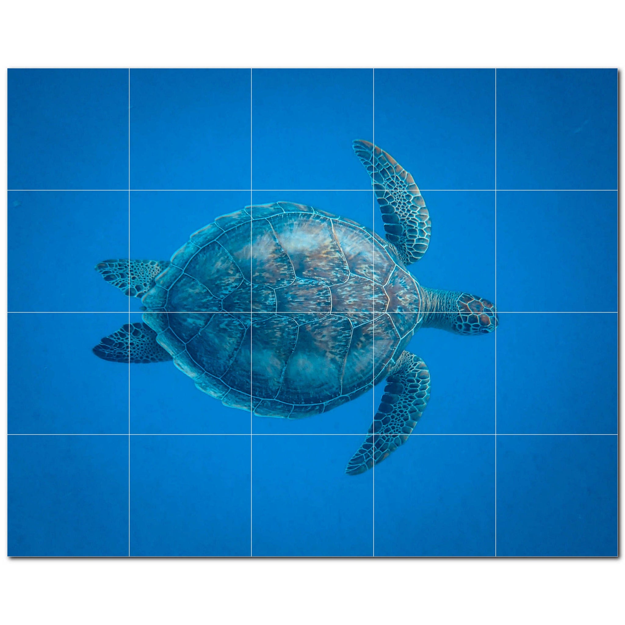 turtle ceramic tile wall mural kitchen backsplash bathroom shower p501067