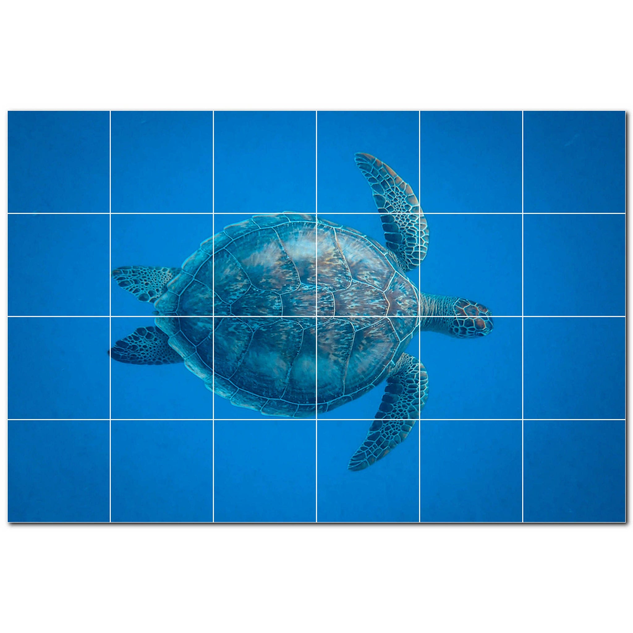 turtle ceramic tile wall mural kitchen backsplash bathroom shower p501067