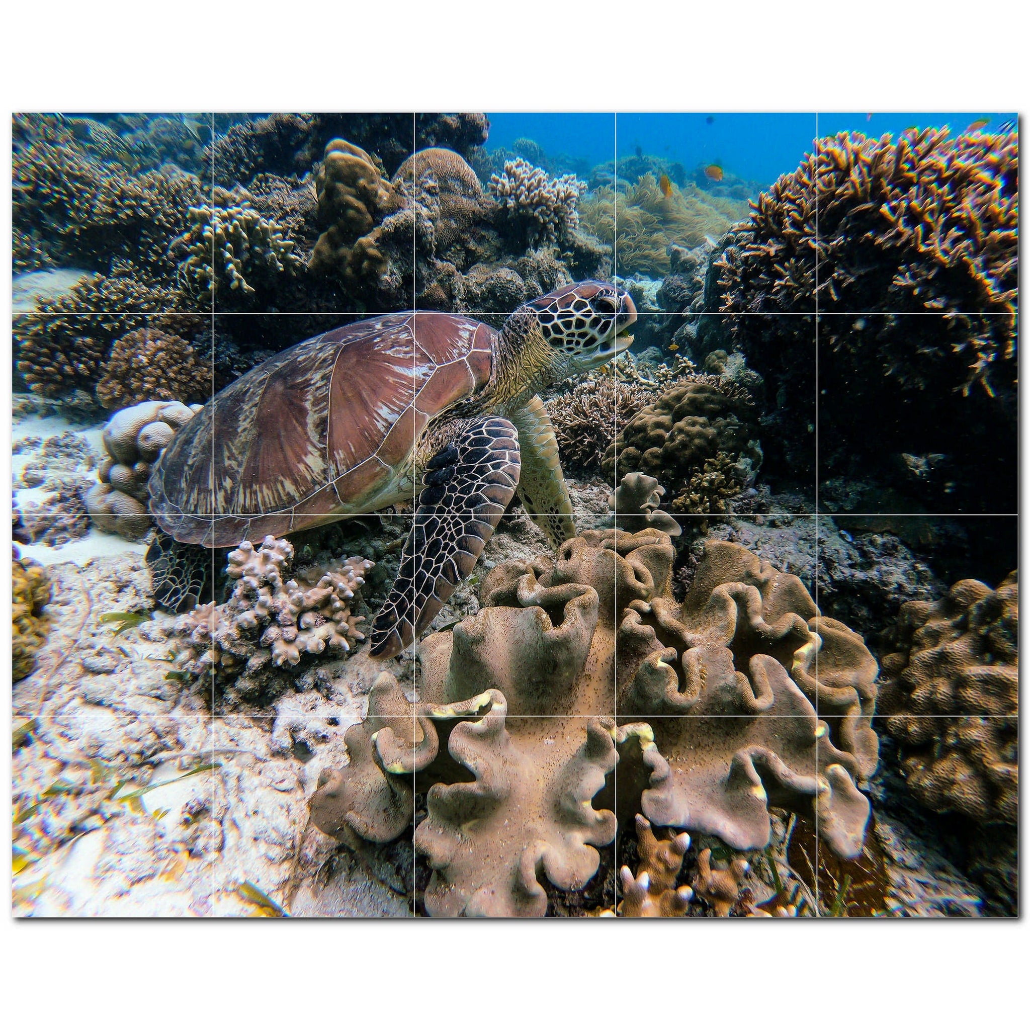 turtle ceramic tile wall mural kitchen backsplash bathroom shower p501068