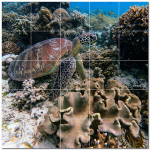 turtle ceramic tile wall mural kitchen backsplash bathroom shower p501068