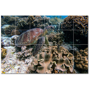 turtle ceramic tile wall mural kitchen backsplash bathroom shower p501068