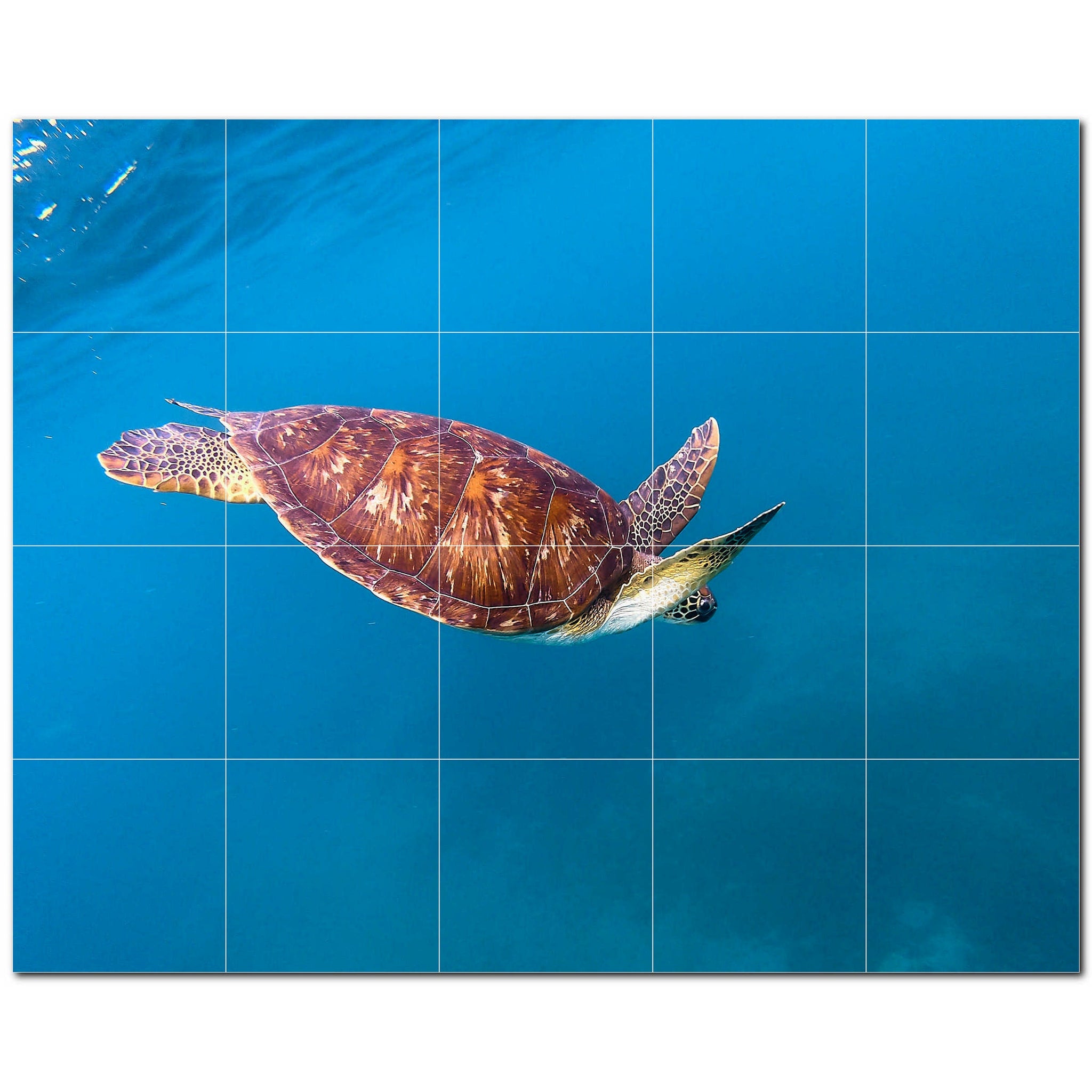 turtle ceramic tile wall mural kitchen backsplash bathroom shower p501069