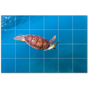 turtle ceramic tile wall mural kitchen backsplash bathroom shower p501069