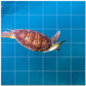 turtle ceramic tile wall mural kitchen backsplash bathroom shower p501069