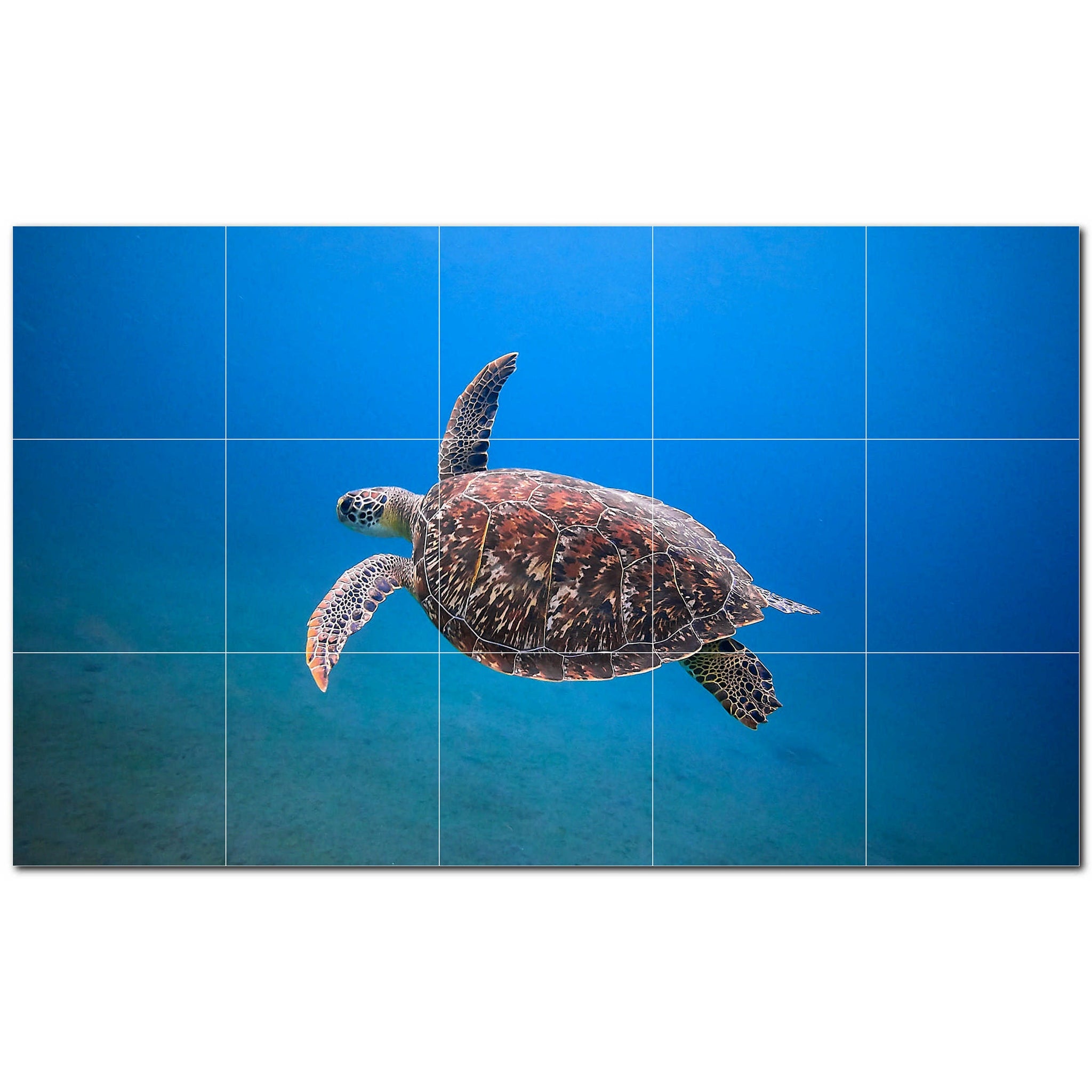 turtle ceramic tile wall mural kitchen backsplash bathroom shower p501070