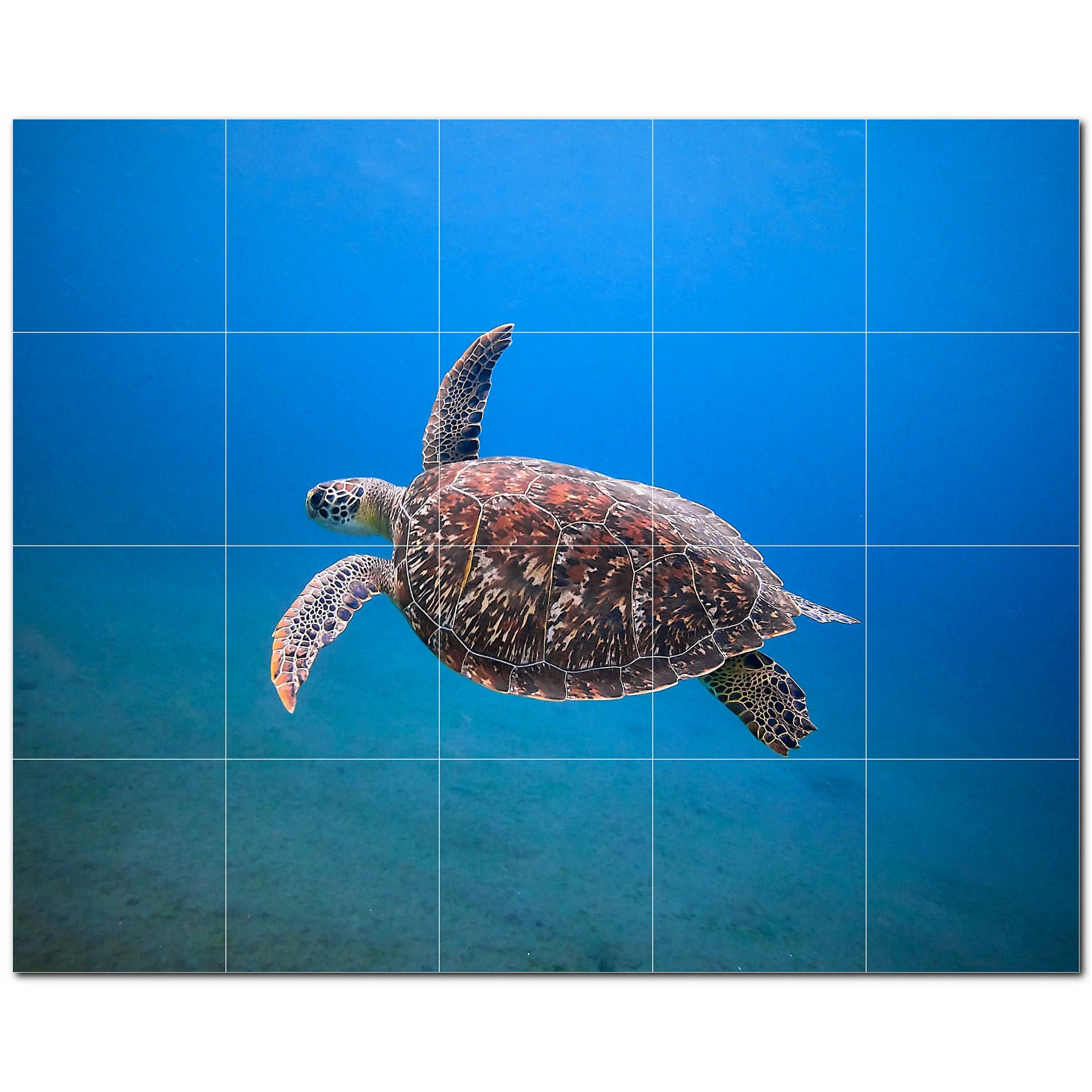 turtle ceramic tile wall mural kitchen backsplash bathroom shower p501070