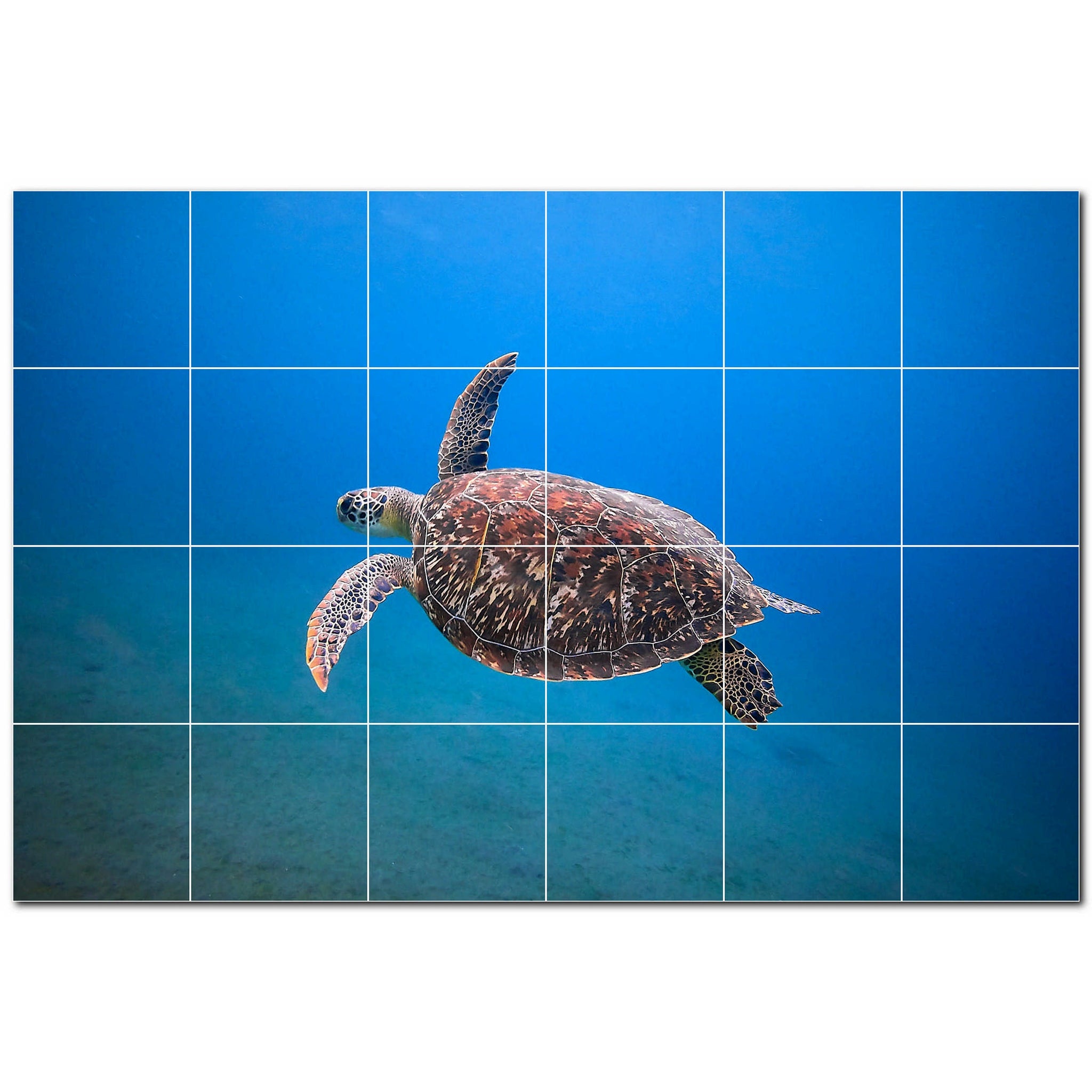 turtle ceramic tile wall mural kitchen backsplash bathroom shower p501070