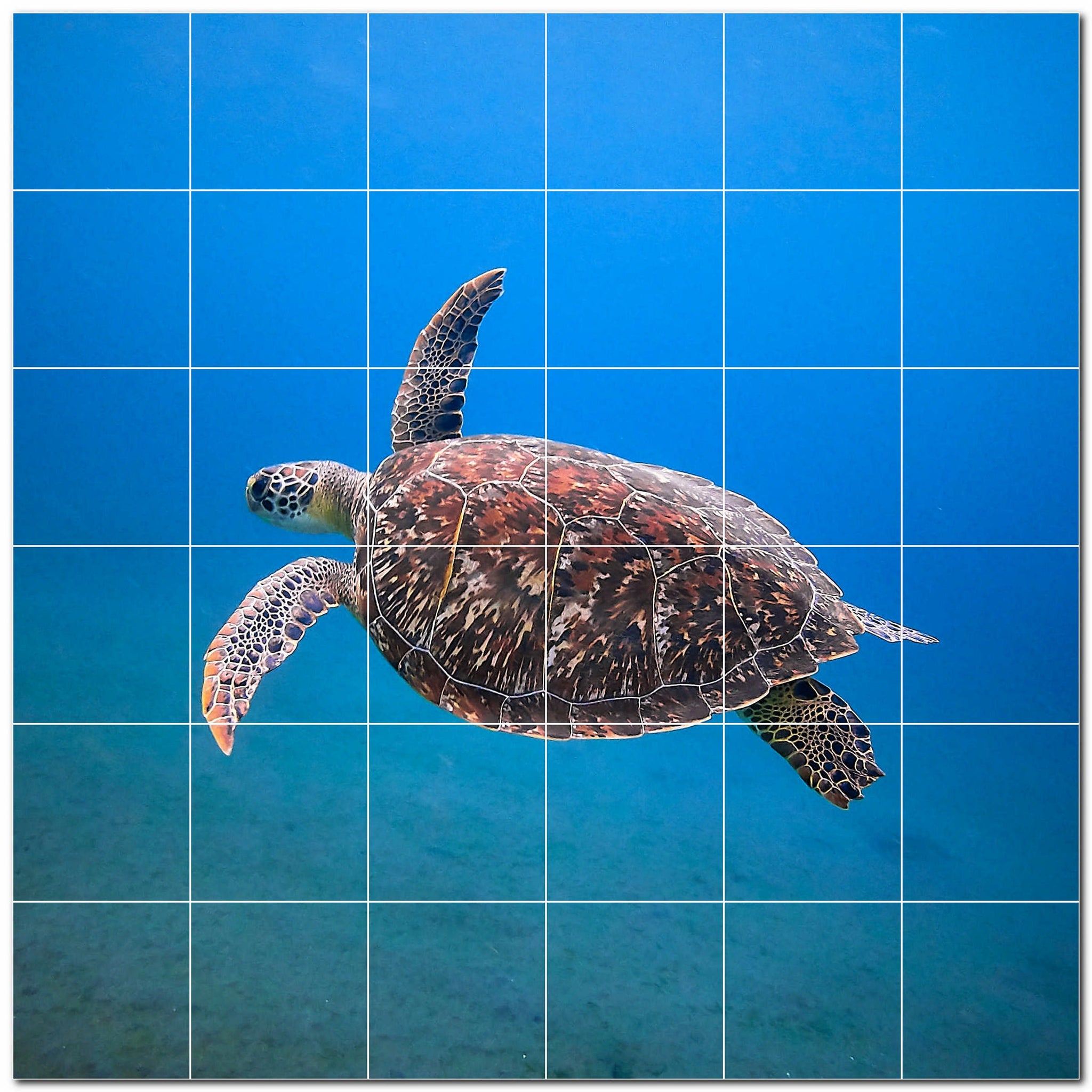 turtle ceramic tile wall mural kitchen backsplash bathroom shower p501070