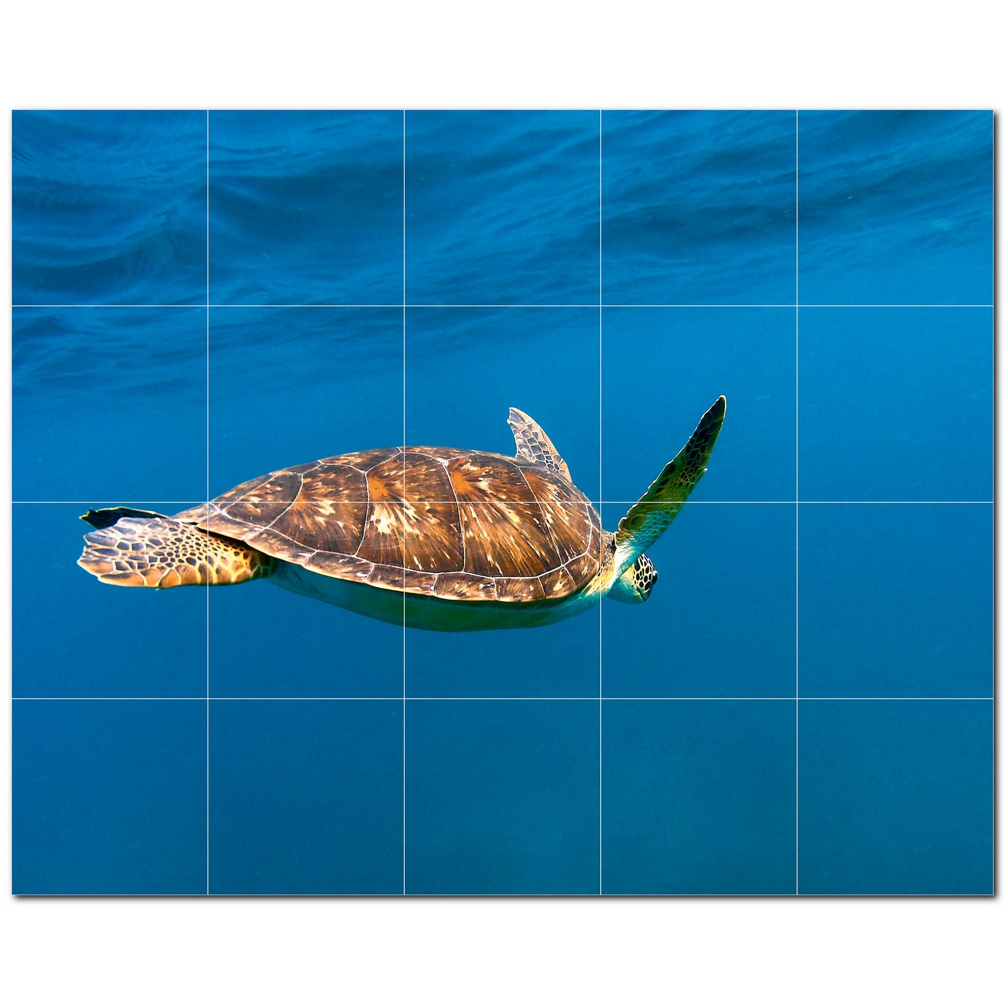 turtle ceramic tile wall mural kitchen backsplash bathroom shower p501071