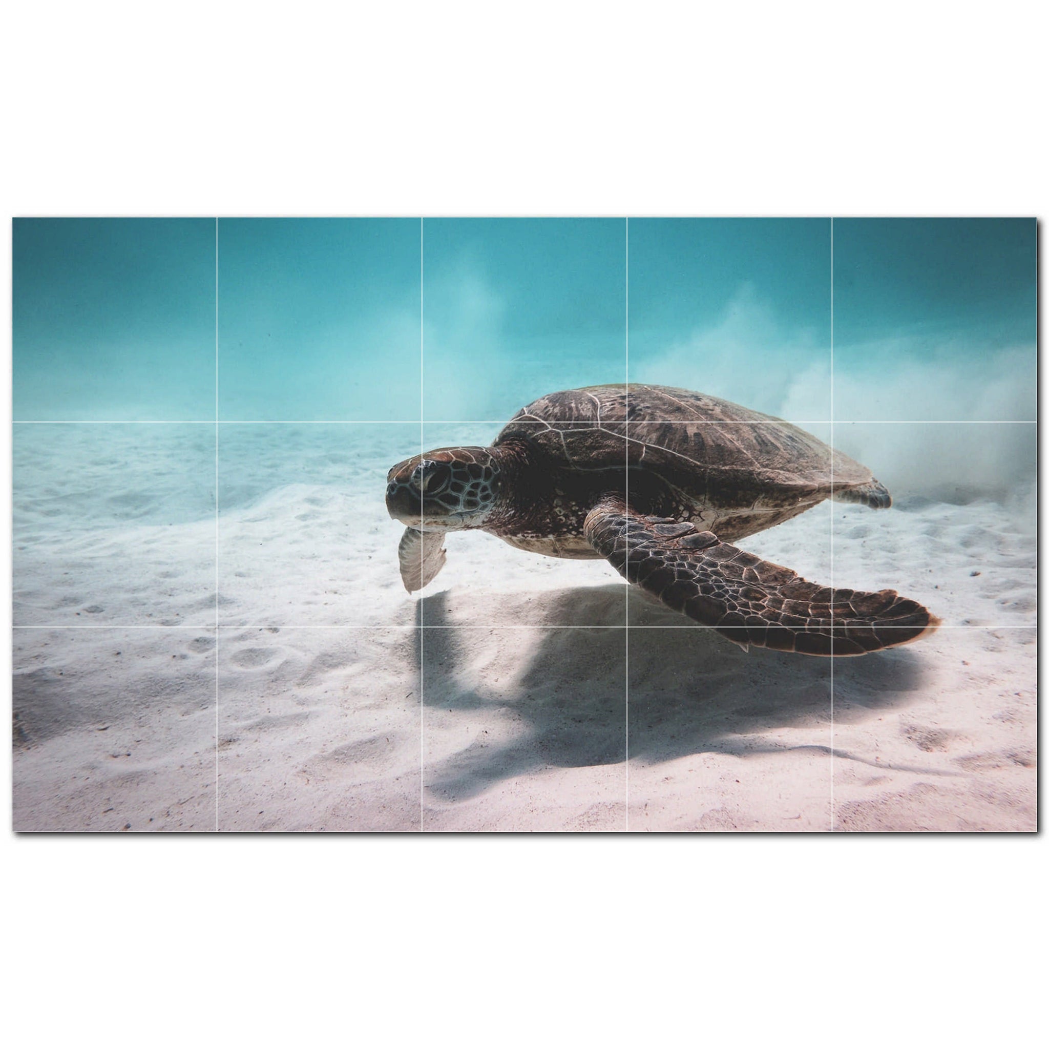 turtle ceramic tile wall mural kitchen backsplash bathroom shower p501072