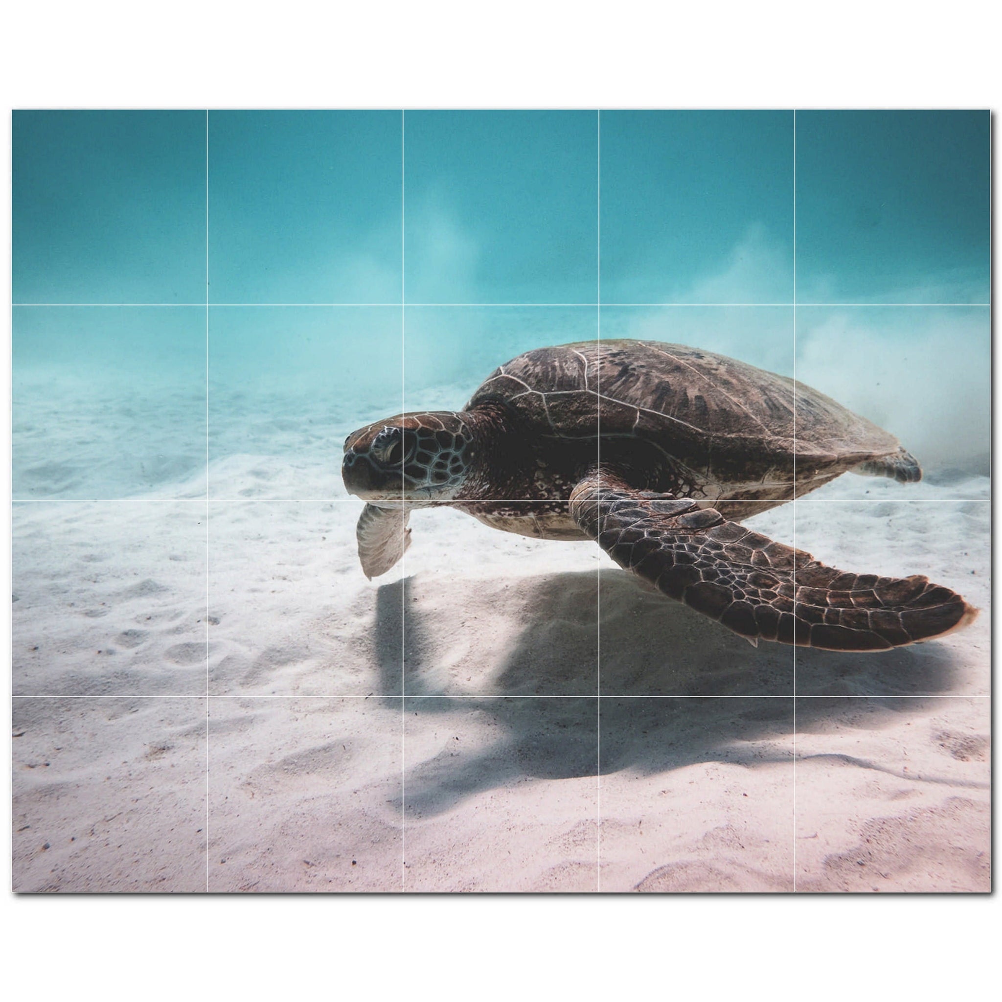 turtle ceramic tile wall mural kitchen backsplash bathroom shower p501072