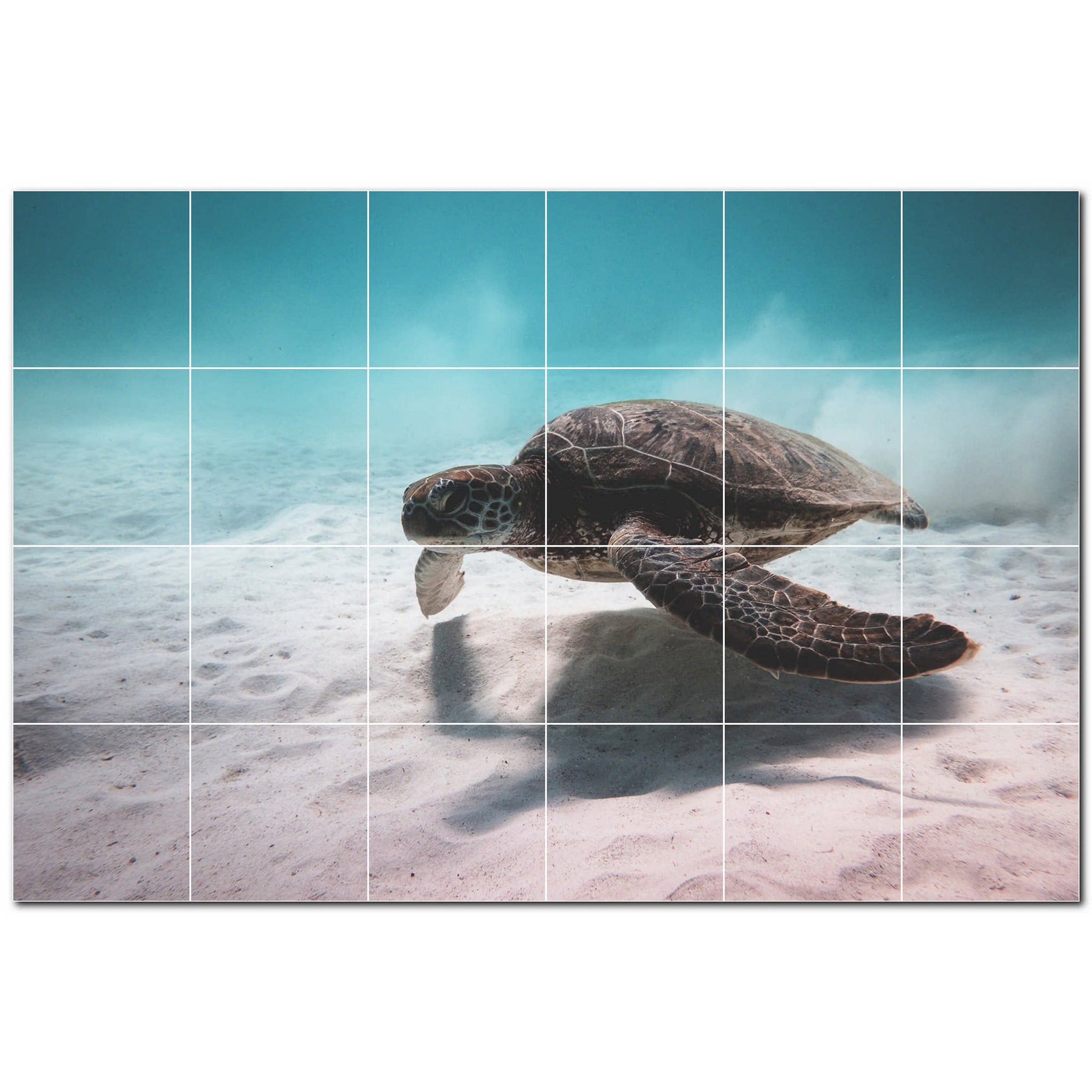 turtle ceramic tile wall mural kitchen backsplash bathroom shower p501072