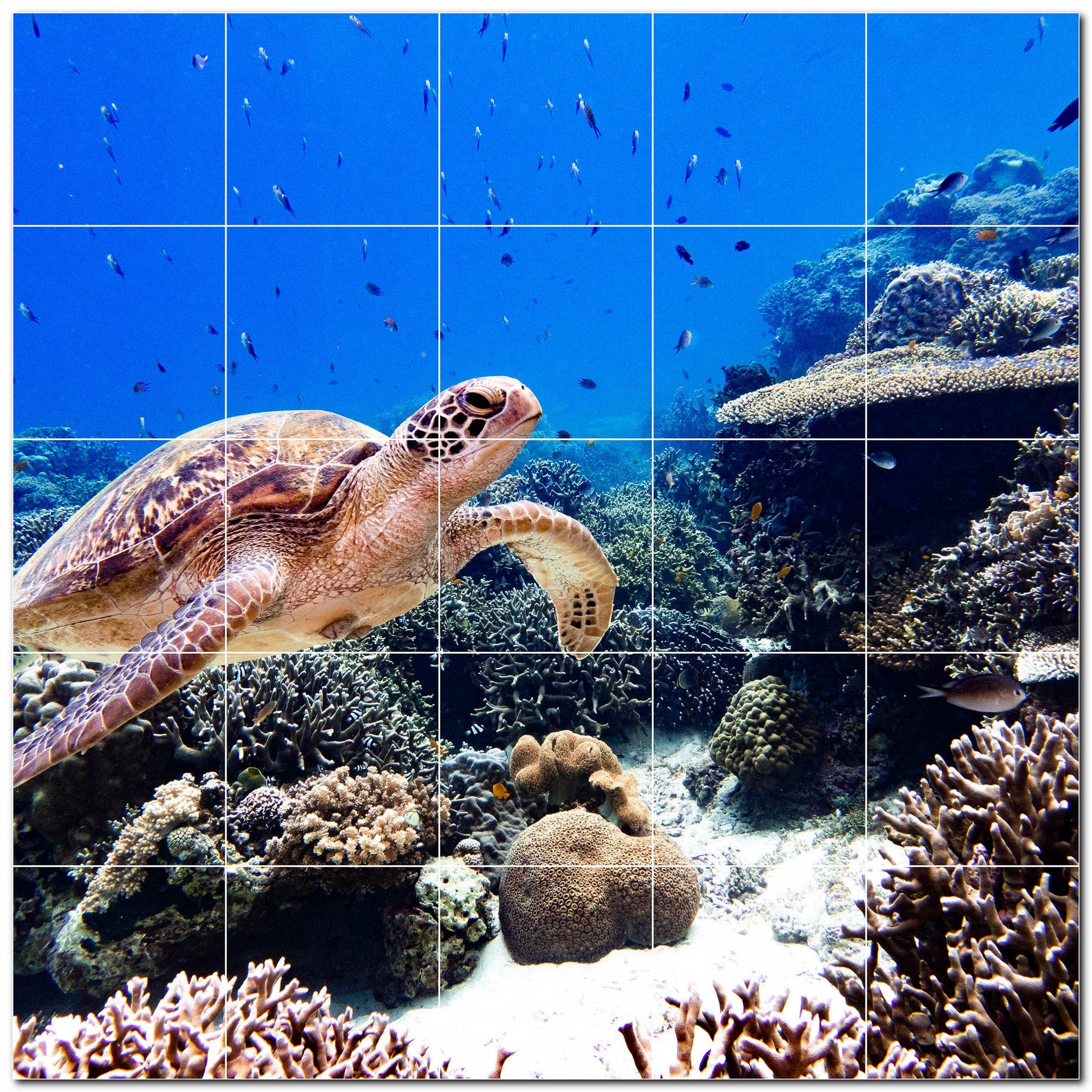 turtle ceramic tile wall mural kitchen backsplash bathroom shower p501074