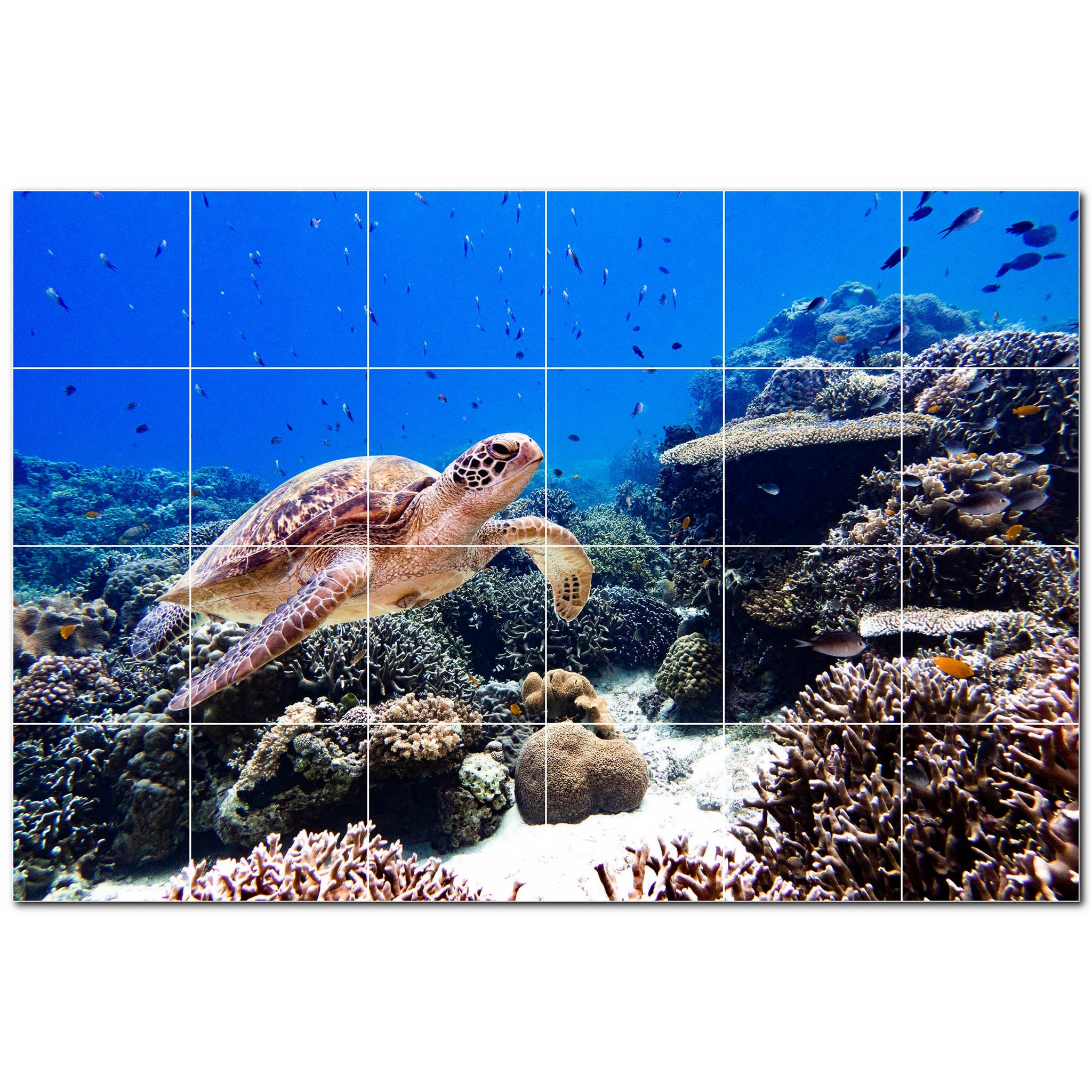 turtle ceramic tile wall mural kitchen backsplash bathroom shower p501074