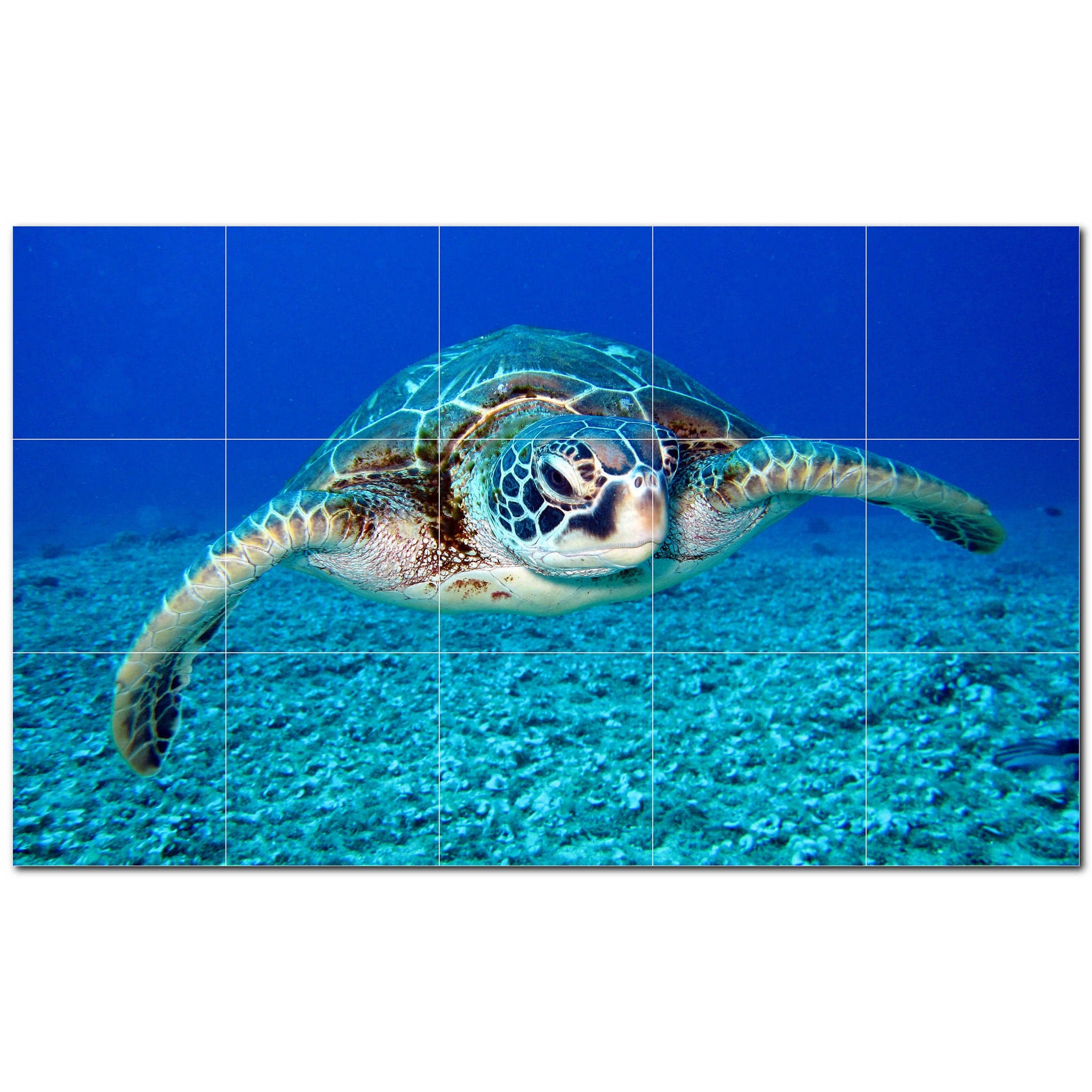 turtle ceramic tile wall mural kitchen backsplash bathroom shower p501075