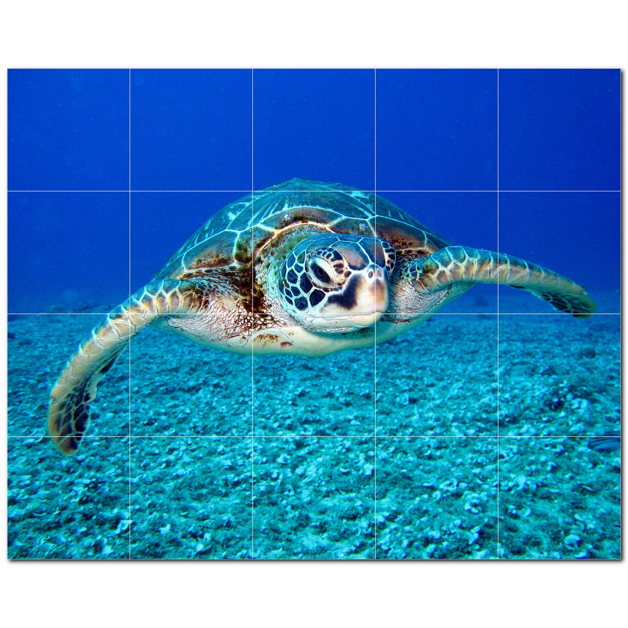 turtle ceramic tile wall mural kitchen backsplash bathroom shower p501075