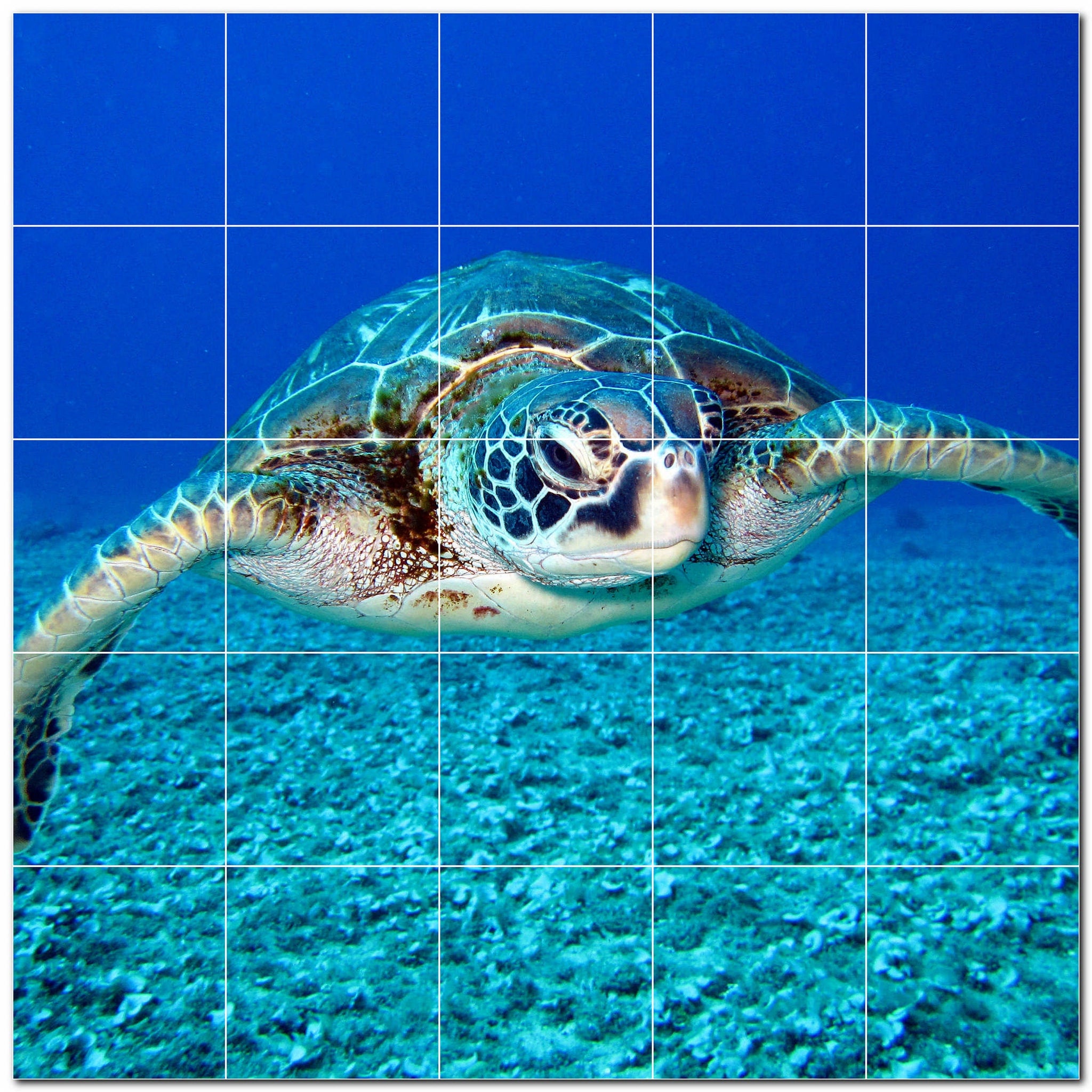 turtle ceramic tile wall mural kitchen backsplash bathroom shower p501075