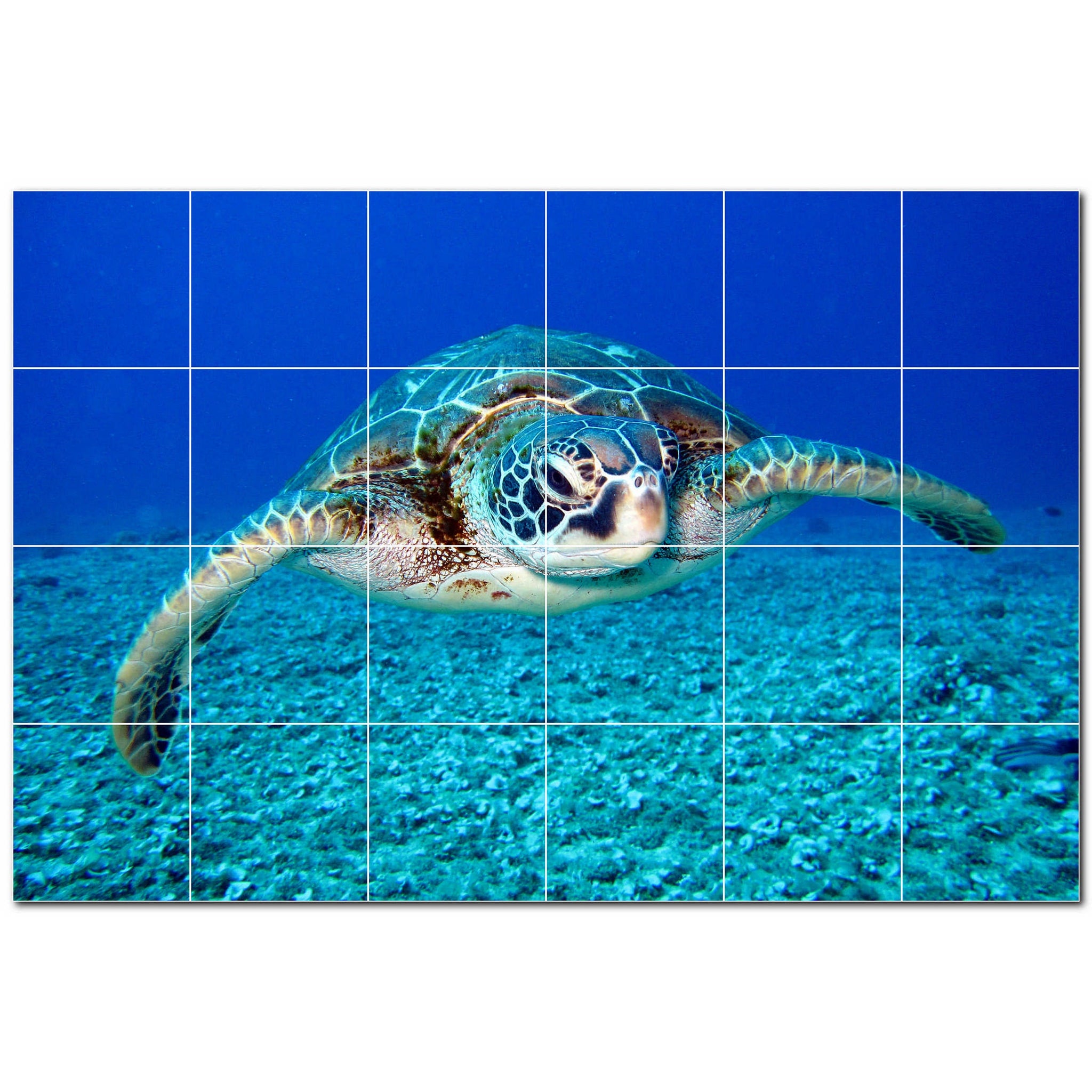 turtle ceramic tile wall mural kitchen backsplash bathroom shower p501075