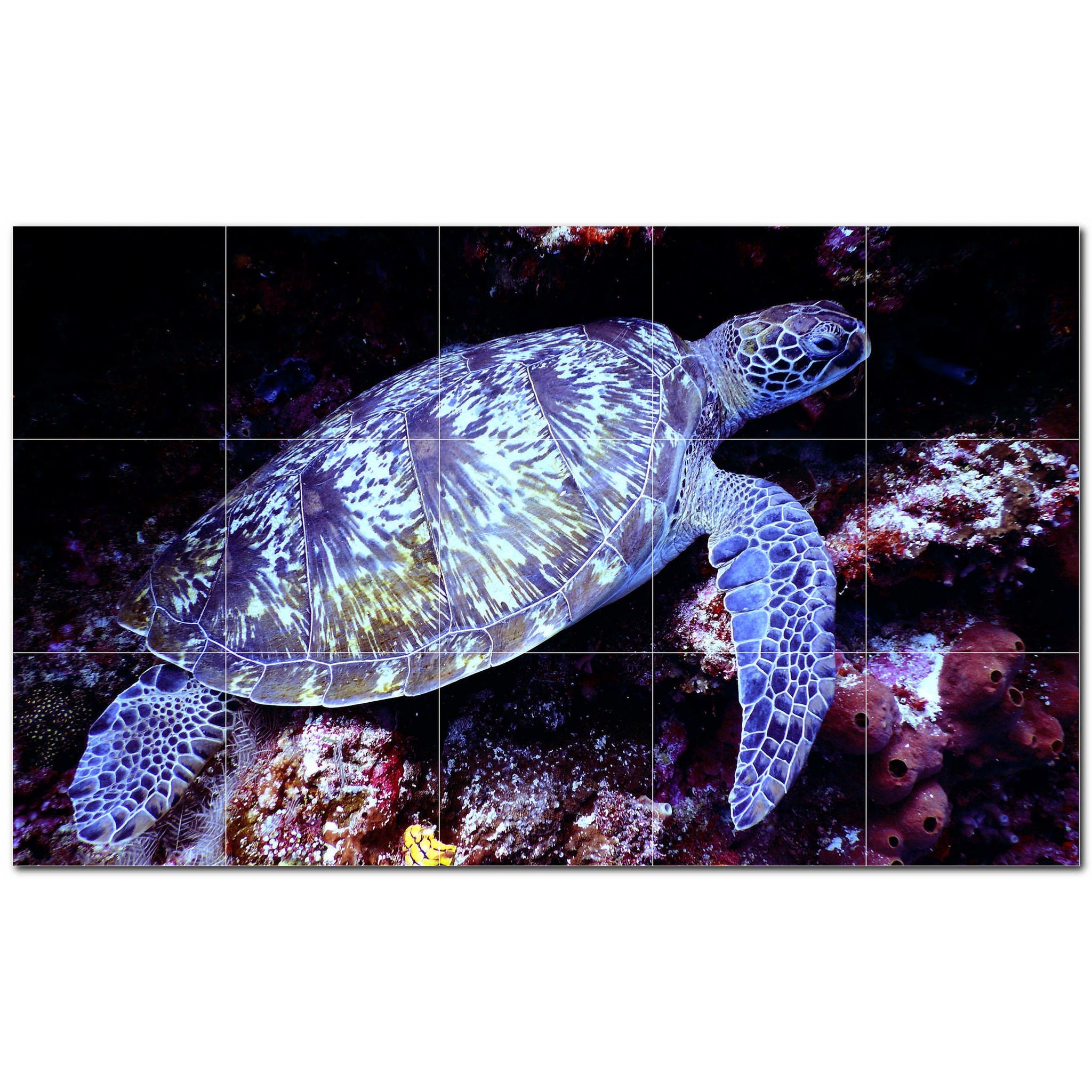 turtle ceramic tile wall mural kitchen backsplash bathroom shower p501077