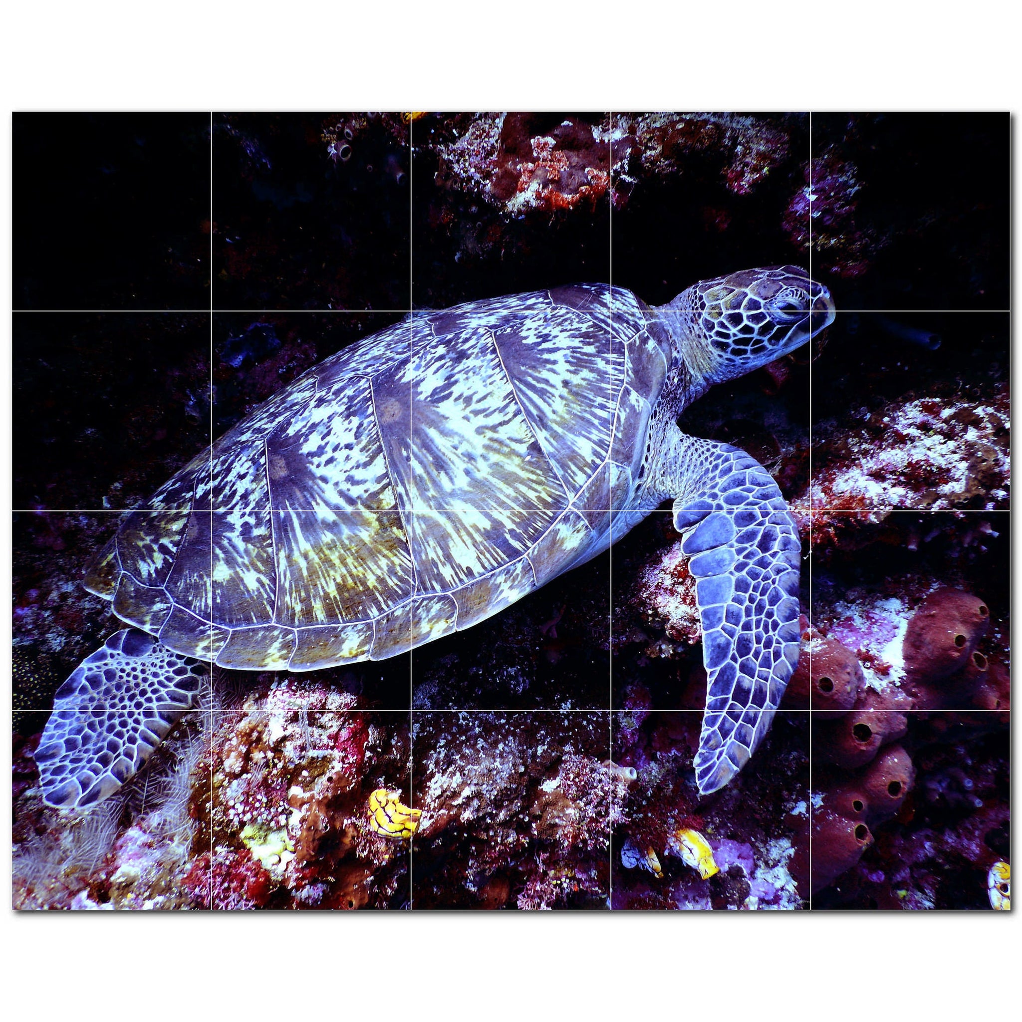 turtle ceramic tile wall mural kitchen backsplash bathroom shower p501077