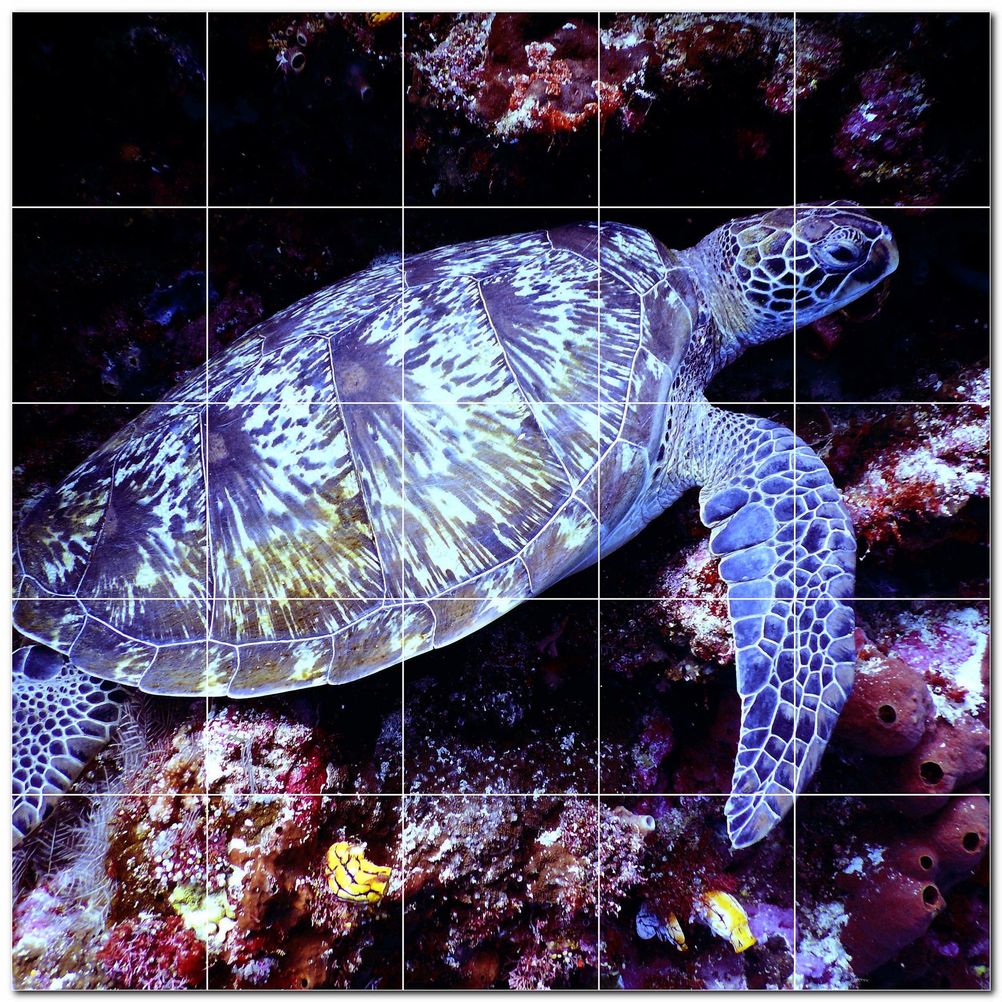 turtle ceramic tile wall mural kitchen backsplash bathroom shower p501077