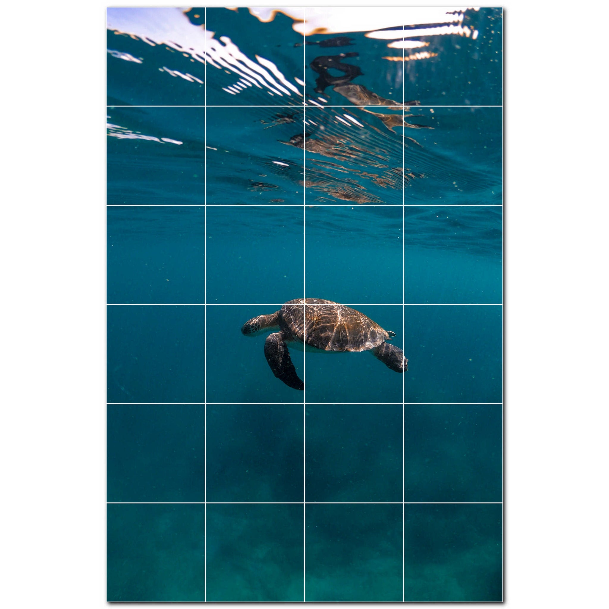 turtle ceramic tile wall mural kitchen backsplash bathroom shower p501078