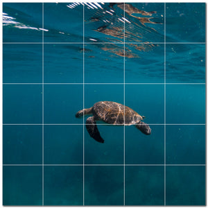 turtle ceramic tile wall mural kitchen backsplash bathroom shower p501078