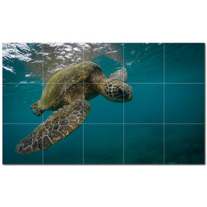 turtle ceramic tile wall mural kitchen backsplash bathroom shower p501080